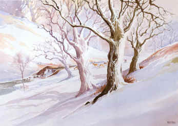 Bradgate Park, Leicestershire in the winter