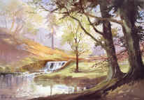 Bradgate Park in the Spring, Leicestershire